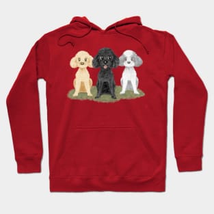 Three poodles Hoodie